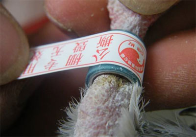 �������鹫���������﹤������ͼ