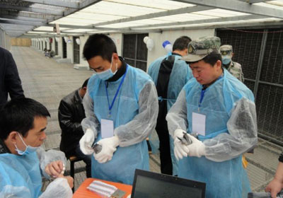 ������������500�������鳲(ͼ)