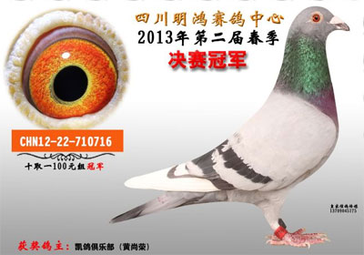 �Ĵ����蹫�����ǰʮ������(ͼ)