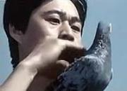 ���䴿��ʱ�� ���������Ϯ(ͼ��)