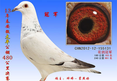 ���հ���̫ƽ�������ǰʮ������(ͼ)