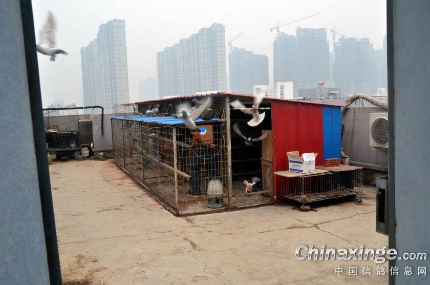 ��ʵ�޻����������������(ͼ)