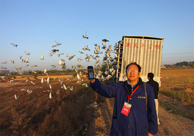 ������ƽ����100��������ͼ��