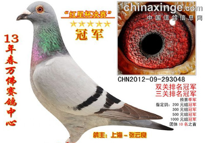 �������������񽱸�����(ͼ)