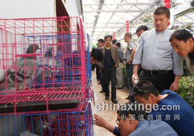 ���պ���������׽��������(ͼ)