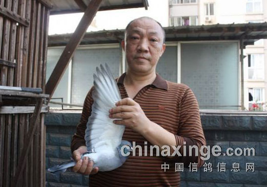 ��������ʮ���� ��������սʤ��ħ(ͼ)