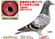 �Ĵ����ι�������񽱸�ͼƬ����