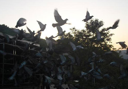 ����������������óɼ������չ�7% (ͼ)