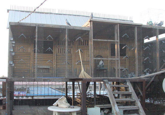 ���������������¸���(ͼ)