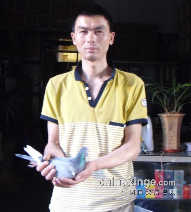 ��������500��������ɹ�����(ͼ)