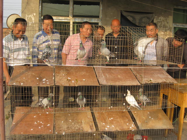 ������껹���������չ�����(ͼ)