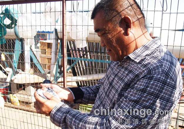 ��������κ�ϸ��ᡪ��κ����(ͼ)