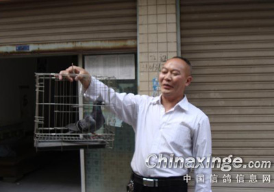 ��ϵ�Ÿ�ʮ���� ���ͽ�����ʮ��(ͼ)