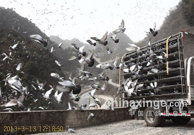 ��������Ÿ�(ͼ)