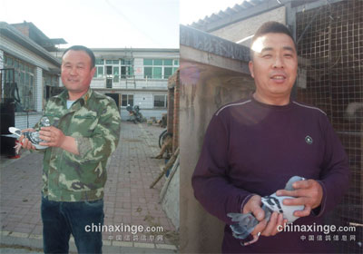 ���ݻ�ͷ�ֻ�700����ǰʮ��(ͼ)