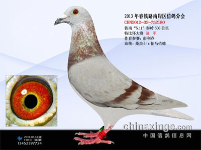 ���������رȻ�����ǰʮ������(ͼ)