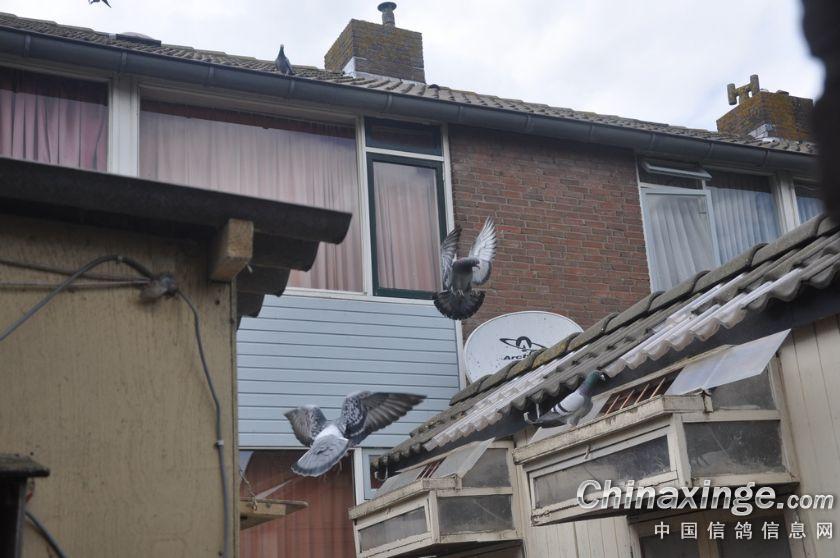 ����Ů��