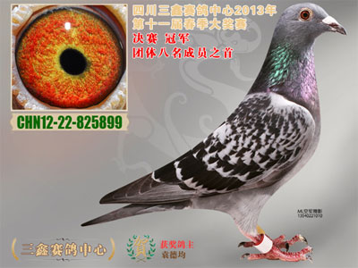 �Ĵ����ι�������񽱸�����(ͼ)