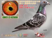 �Ĵ����ι�������񽱸�����(ͼ)