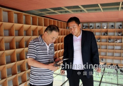 �Ϻ����ɽ����������������(ͼ)