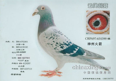 С�����������(ͼ)