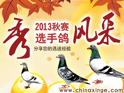 ������ʵ����������ѡ�ָ롱�������