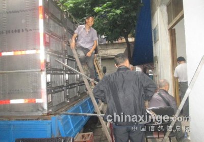 �������ھ��ֲ�400�����ر���(ͼ)