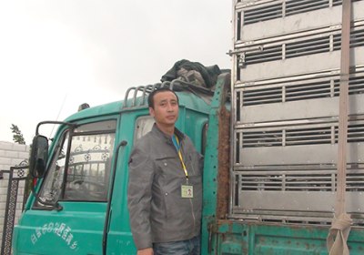 �����������500�������ǰʮ��