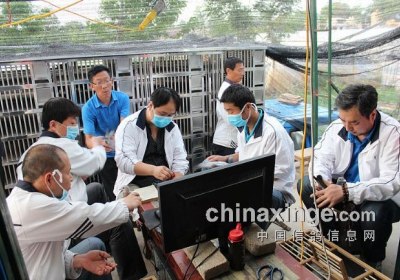 �����α�����ڶ���300�������鳲