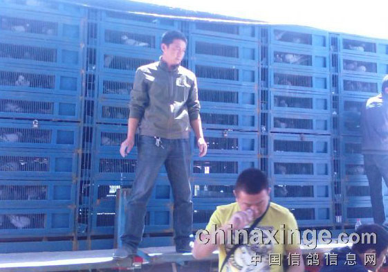 ���ɹ��ٺ����������׹ؼ��뻨��(ͼ)