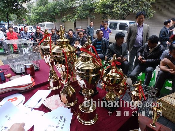 ����������65����ѻ�һ�¹����ĸ�(ͼ)