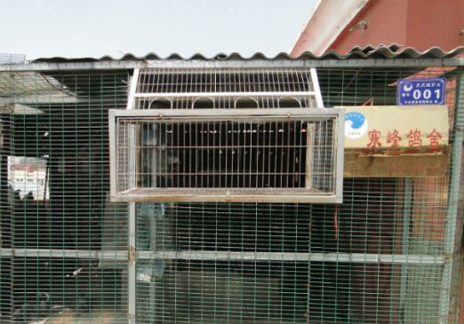 ��֣�ݺ����������ǿ(ͼ)