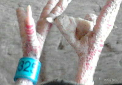 ���Ƹ��ܷ�����