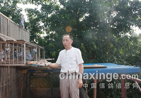 ��Ե���߷�����ɻ�����(ͼ)