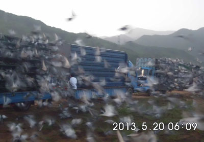 ѹ�����գ��ɶ���ǧ�����������ɼ���¯