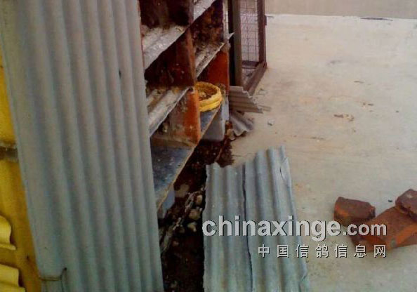 �����һ����� ����ȫ����(ͼ)