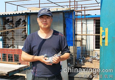 �������������ֲ�500����ǰʮ��(ͼ)