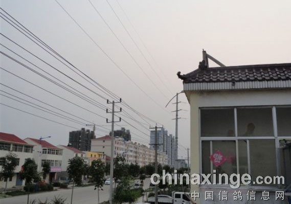 ��ǰ��ѹ�� �����ط���(ͼ)