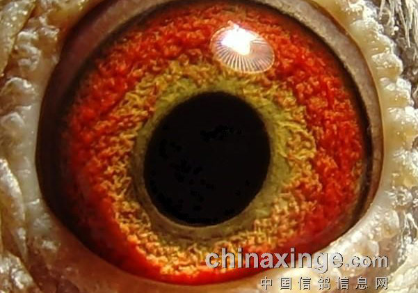 ���۵���(3)