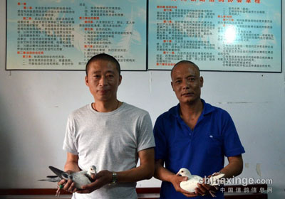 ֣����Э��Ӣ���еľ�Ӣ(ͼ)