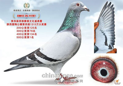 �������蹫��2013�����ǰʮ��(ͼ)