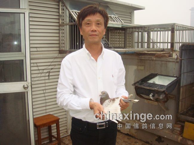 �Ϻ���̳�����������¹�ʤ(ͼ)