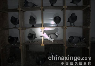 һλ26�깫���ϰ��ʵ��(ͼ)