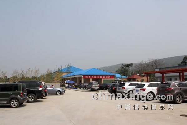 �����ɺ繫�������ʵ(ͼ)