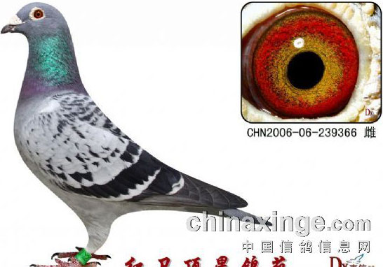 ǧ���׵� һ������(ͼ)