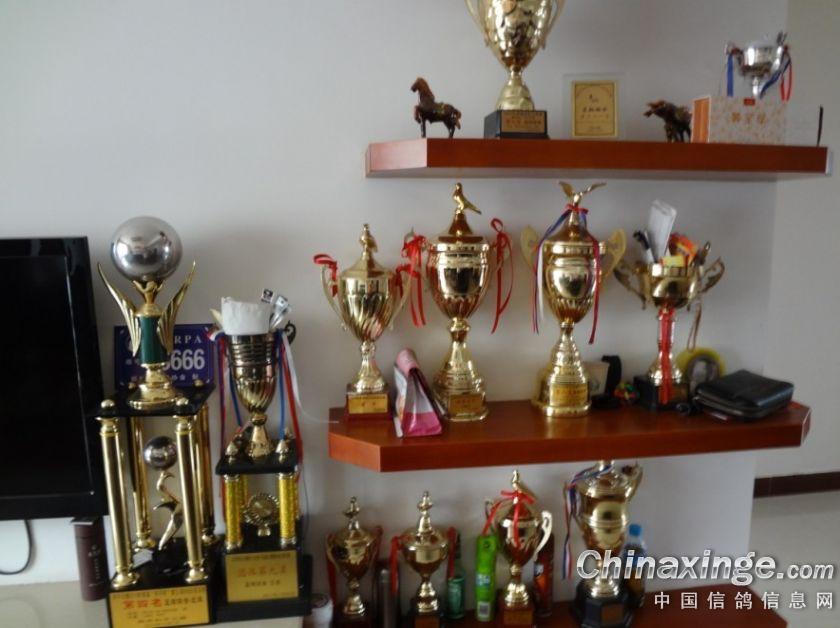 �߽�������� ���͹ھ�����(ͼ)