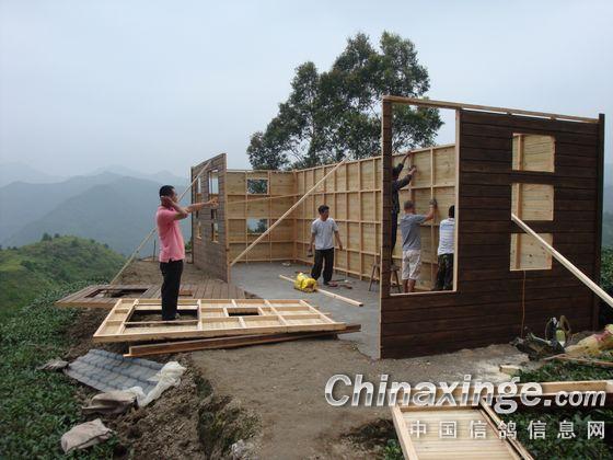 ��ɽ�Ͻ�����(ͼ)