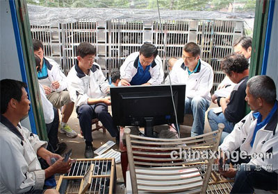 �����α������������鳲(ͼ)