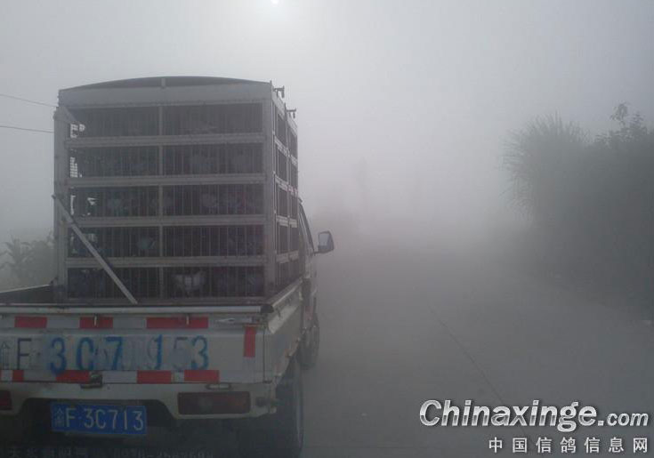 ���������ļ�7.1��������ѵ��(ͼ)