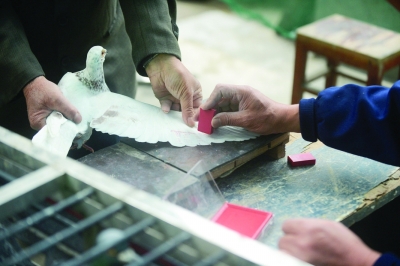 ���ݽ�����׳�����28�շŷ�(ͼ)